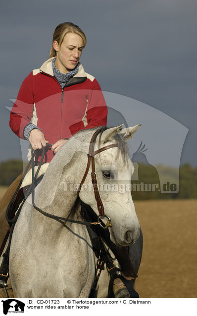 Frau reitet Araber / woman rides arabian horse / CD-01723