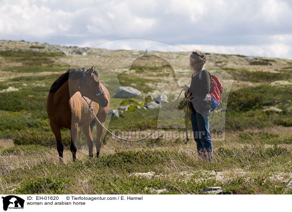 Frau und Araber / woman and arabian horse / EH-01620