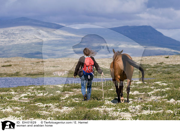 Frau und Araber / woman and arabian horse / EH-01629