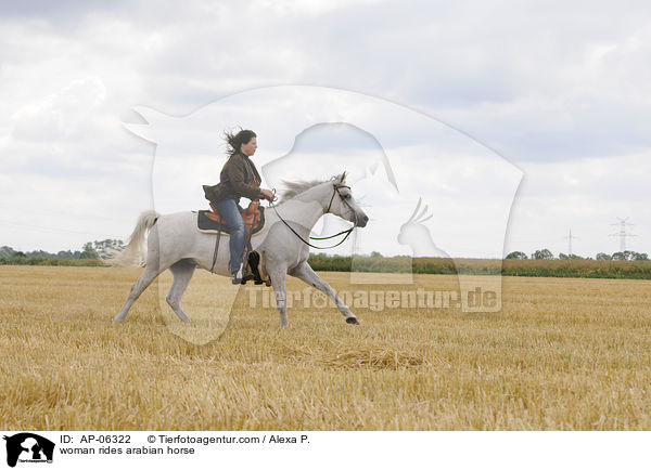 Frau reitet Araber / woman rides arabian horse / AP-06322