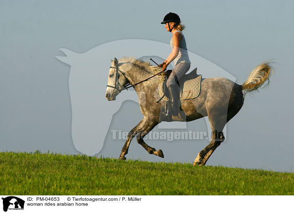 Frau reitet Araber / woman rides arabian horse / PM-04653