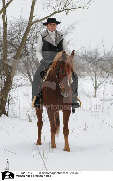Frau reitet Araber / woman rides arabian horse / AP-07128