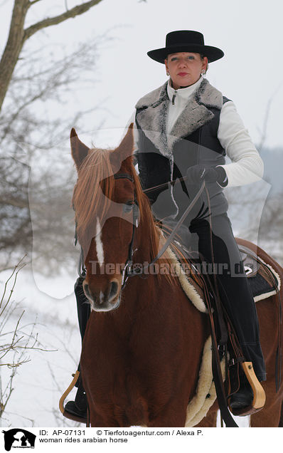 Frau reitet Araber / woman rides arabian horse / AP-07131
