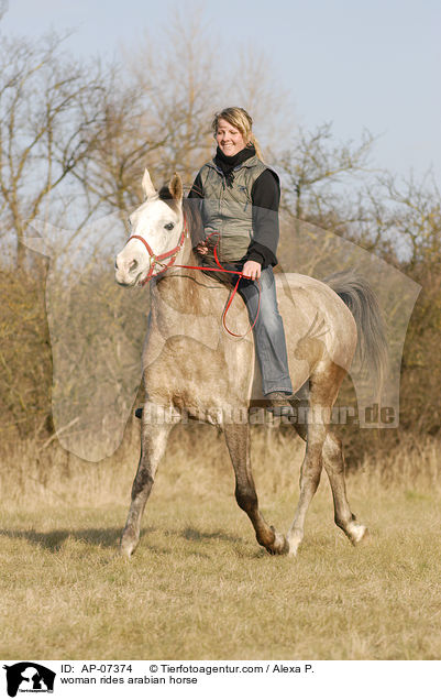 Frau reitet Araber / woman rides arabian horse / AP-07374