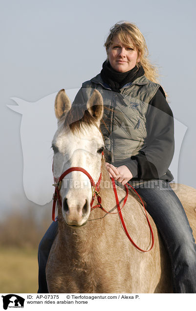 Frau reitet Araber / woman rides arabian horse / AP-07375