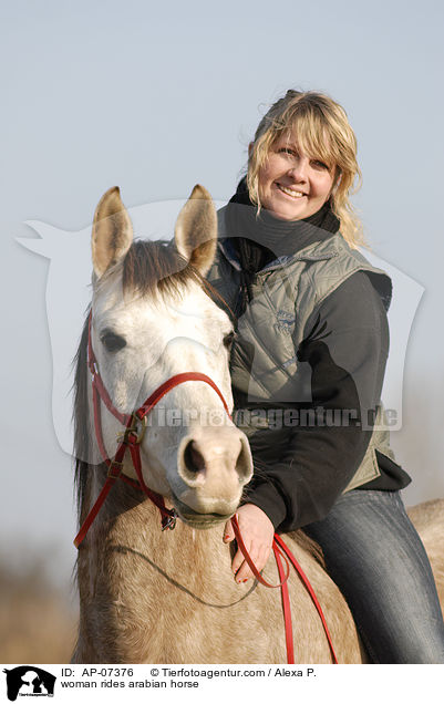 Frau reitet Araber / woman rides arabian horse / AP-07376