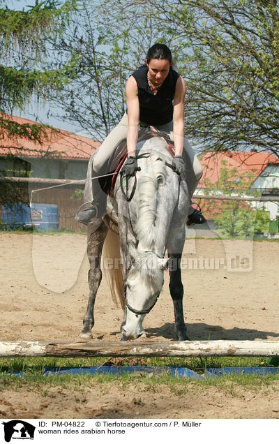 Araber verweigert / woman rides arabian horse / PM-04822
