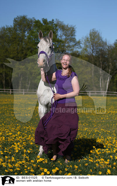 Frau mit Araber / woman with arabian horse / BES-01525