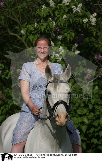 Frau mit Araber / woman with arabian horse / BES-01528