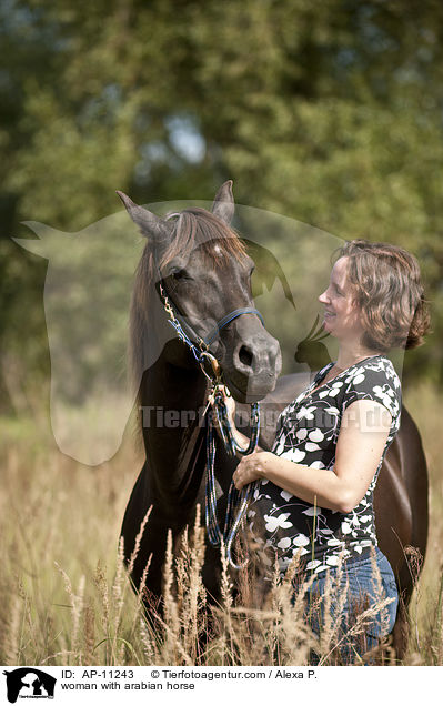 woman with arabian horse / AP-11243