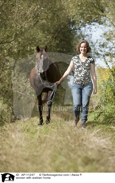 woman with arabian horse / AP-11247