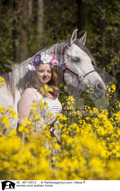 Frau und Araber / woman and arabian horse / AP-13513