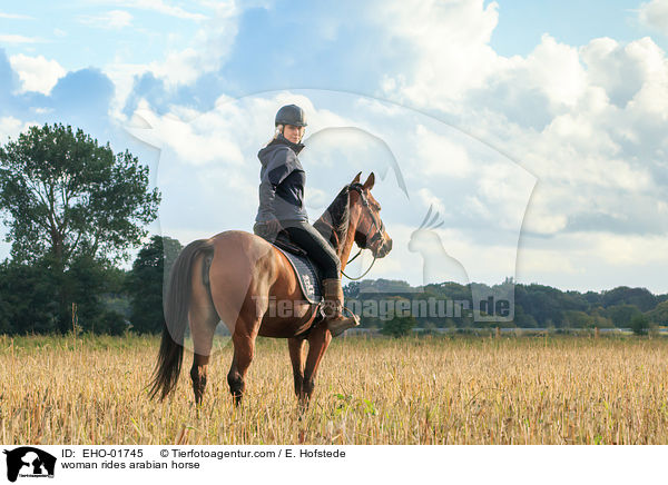 Frau reitet Araber / woman rides arabian horse / EHO-01745