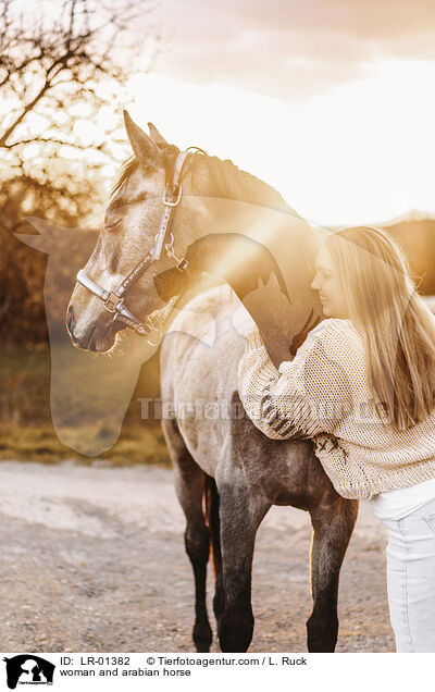 woman and arabian horse / LR-01382