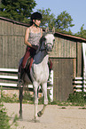 horsewoman on arabian horse