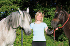 arabian horse portrait