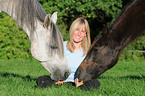 arabian horse portrait