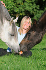 arabian horse portrait