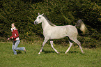 woman and arabian horse