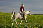 woman rides arabian horse