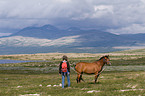 woman and arabian horse