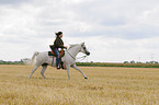 woman rides arabian horse