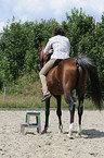 woman rides arabian horse