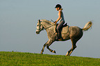 woman rides arabian horse