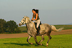 woman rides arabian horse