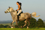 woman rides arabian horse