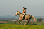 woman rides arabian horse