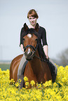 woman rides arabian horse