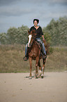 woman rides arabian horse