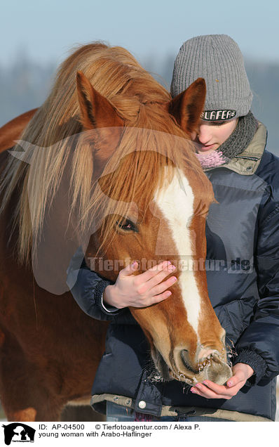 young woman with Arabo-Haflinger / AP-04500