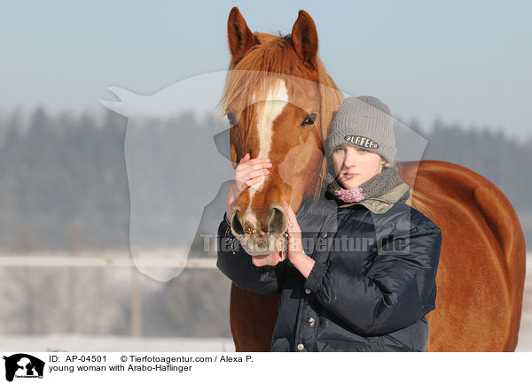 young woman with Arabo-Haflinger / AP-04501
