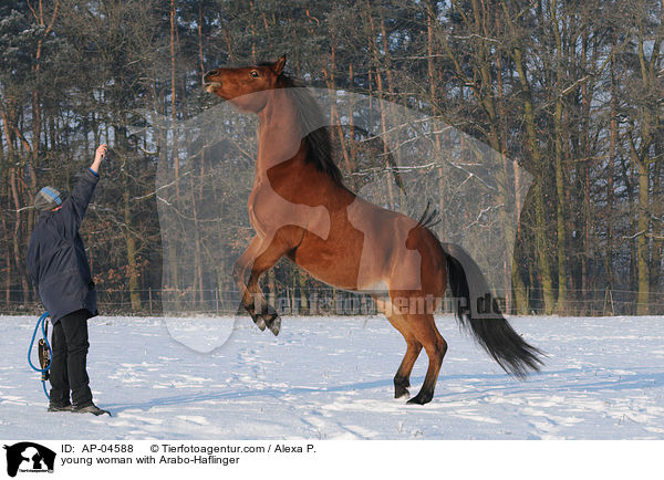 junge Frau mit Arabo-Haflinger / young woman with Arabo-Haflinger / AP-04588