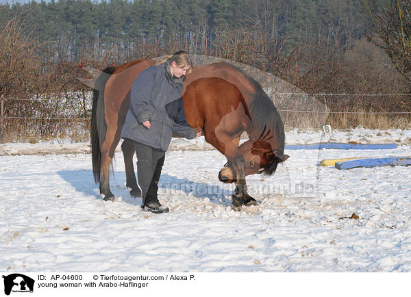 young woman with Arabo-Haflinger / AP-04600