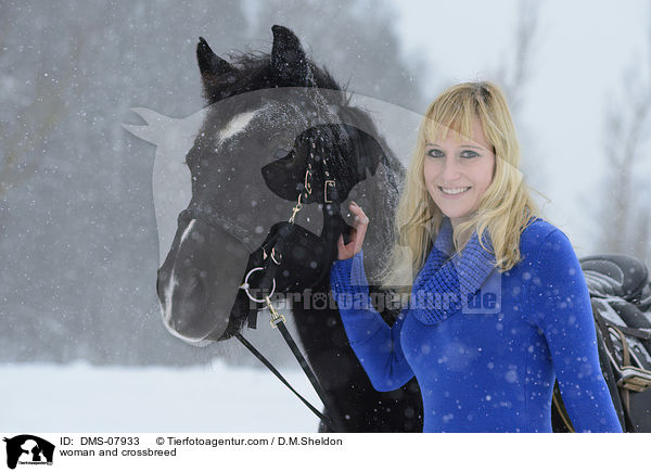Frau und Arabo-Haflinger / woman and crossbreed / DMS-07933