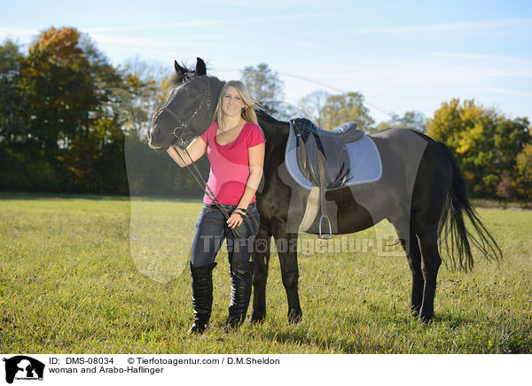 woman and Arabo-Haflinger / DMS-08034