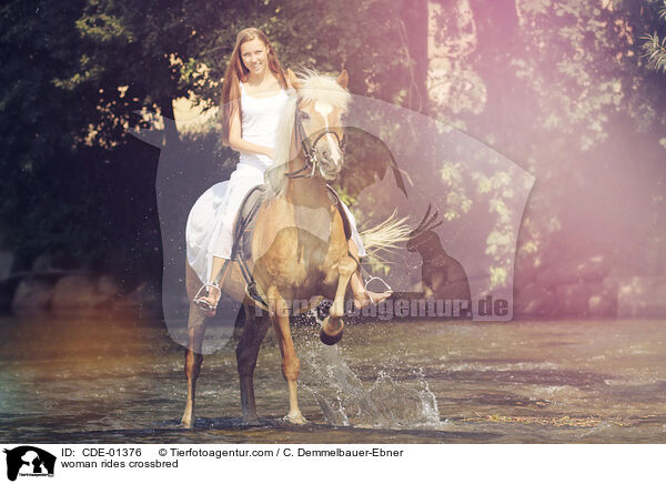 Frau reitet Arabo-Haflinger / woman rides crossbred / CDE-01376