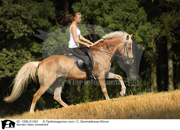 Frau reitet Arabo-Haflinger / woman rides crossbred / CDE-01391