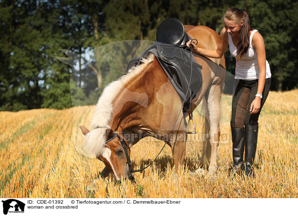 Frau und Arabo-Haflinger / woman and crossbred / CDE-01392