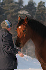 young woman with Arabo-Haflinger