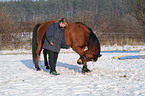 young woman with Arabo-Haflinger