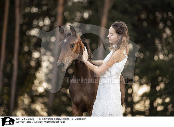 woman and Austrian warmblood foal / VJ-02837