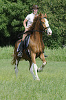 woman rides Barockpinto