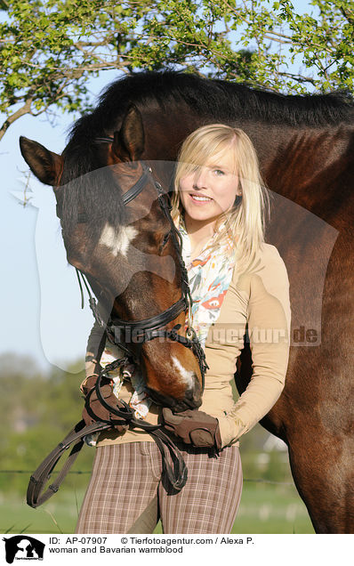 Frau mit Bayerischem Warmblut / woman and Bavarian warmblood / AP-07907