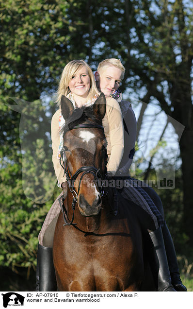 Frauen mit Bayerischem Warmblut / women and Bavarian warmblood / AP-07910