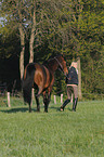 woman with Bavarian warmblood