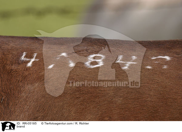 Brandzeichen / brand / RR-05185
